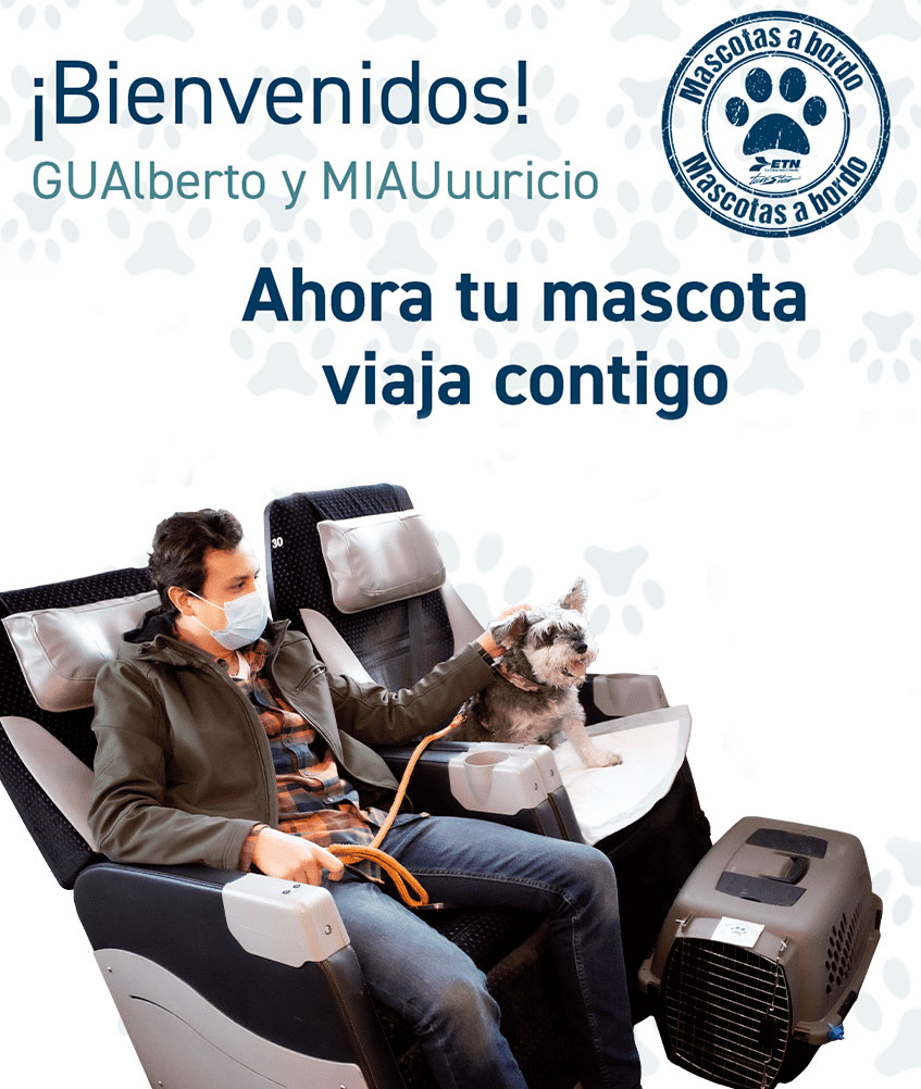 https://serviciossube.info/wp-content/uploads/2025/04/mascota.jpg